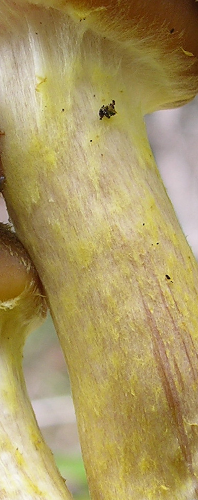 Questo � interessante....(e ne faccio un quiz)